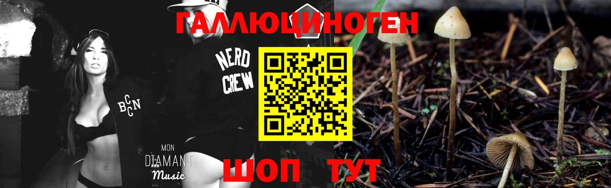Псилоцибиновые грибы Psilocybe  Вход с VPN  Волгодонск  Псилоцибиновые грибы Magic Shrooms 
